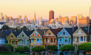 Image of painted ladies